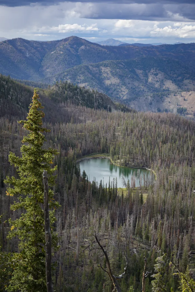 Kidney Lake