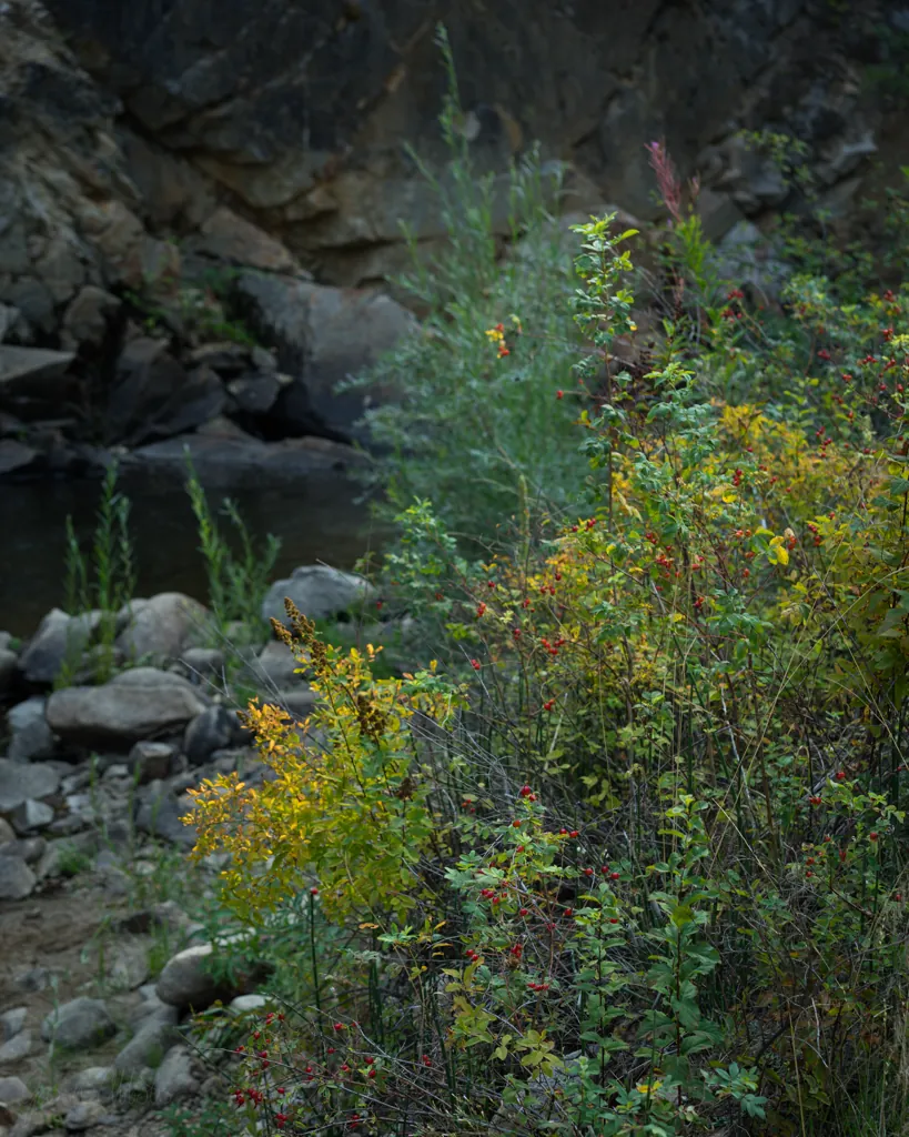 Grimes Creek