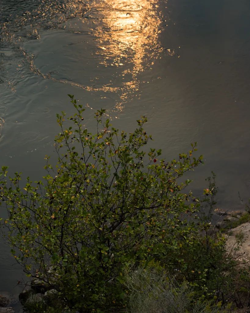 Sun on the Payette