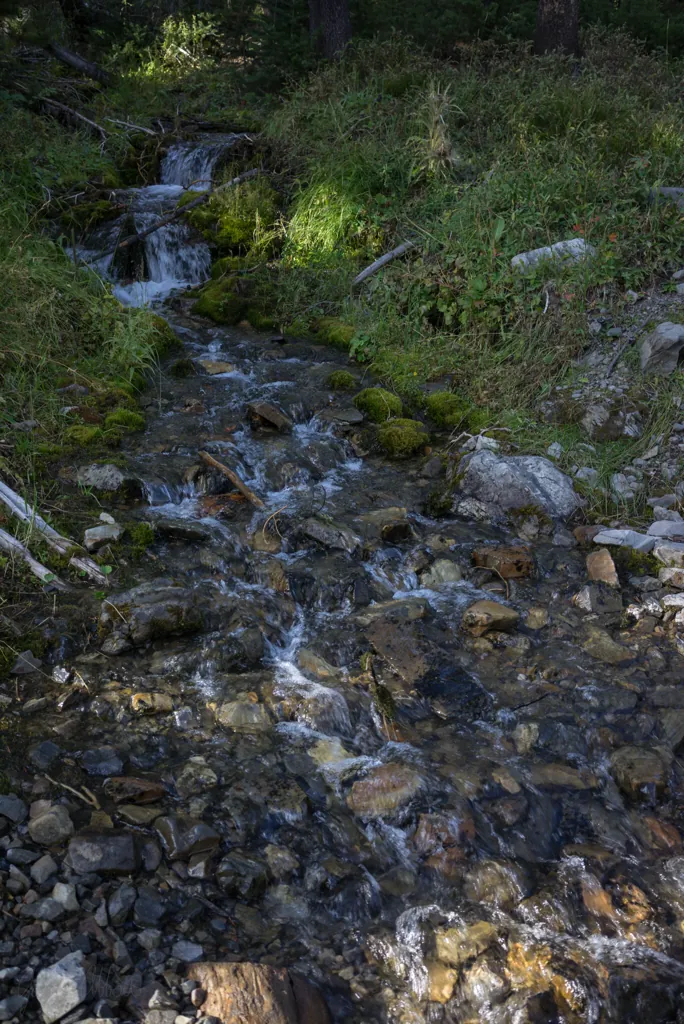 Tributary