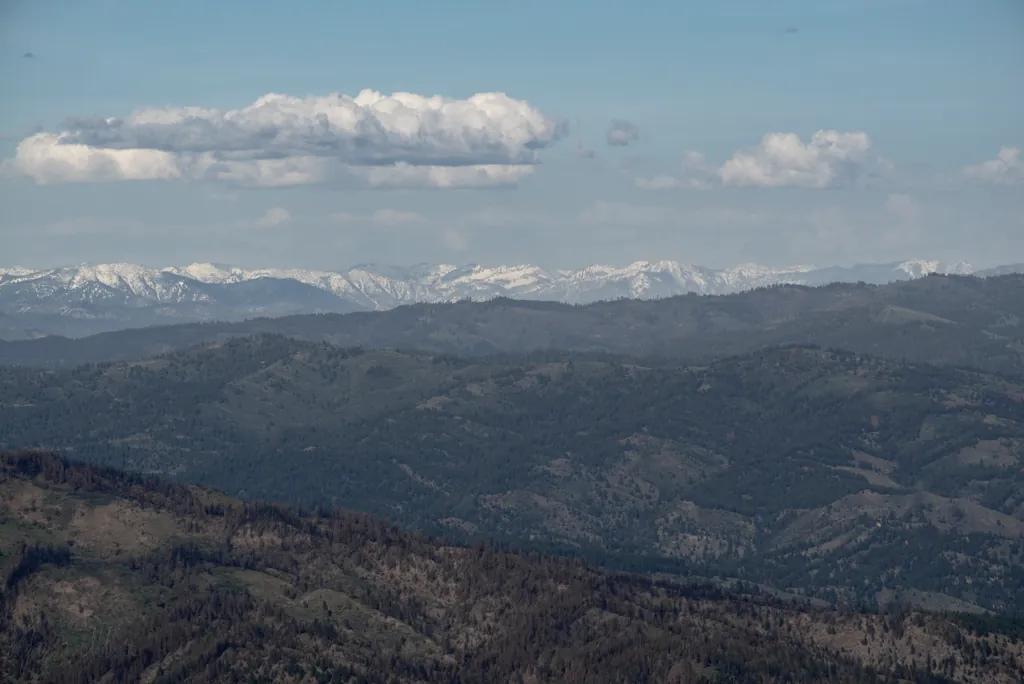 Boise National Forest