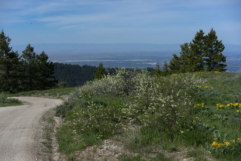 Boise below