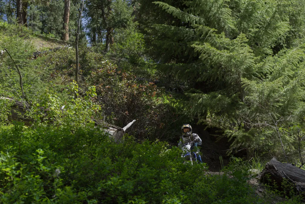 Switchback
