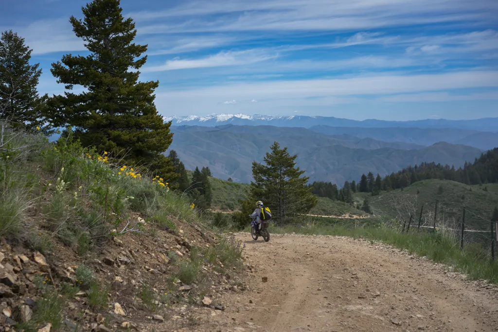 Downhill from here
