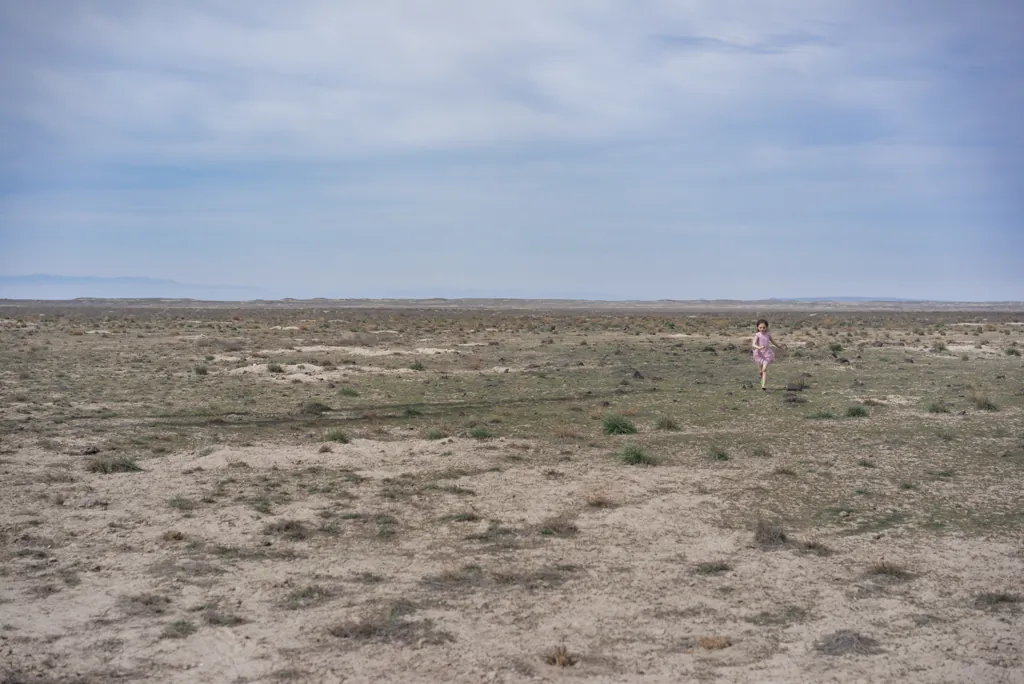 Loose in the desert