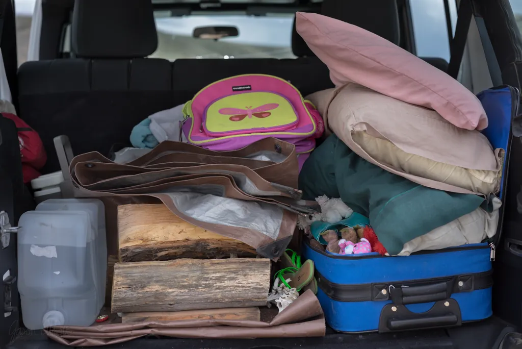 Mostly stuffed animals