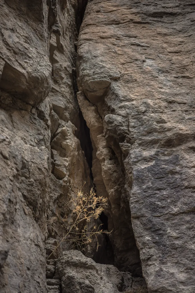 Crack in the wall
