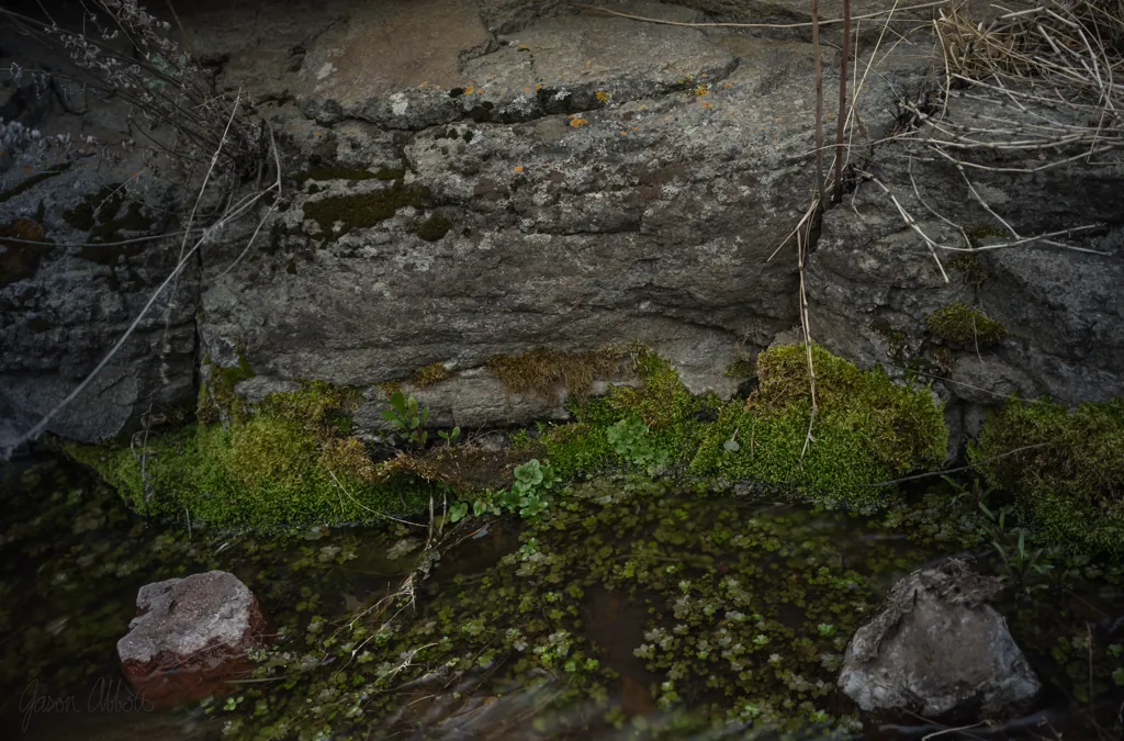 Green redoubt