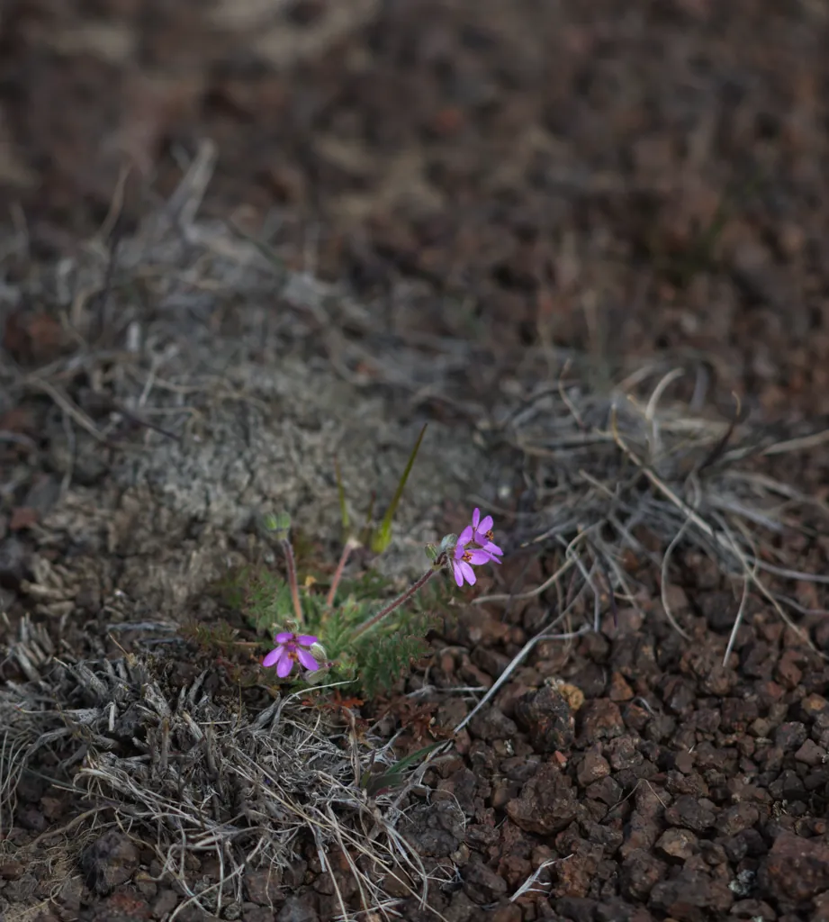It must be spring