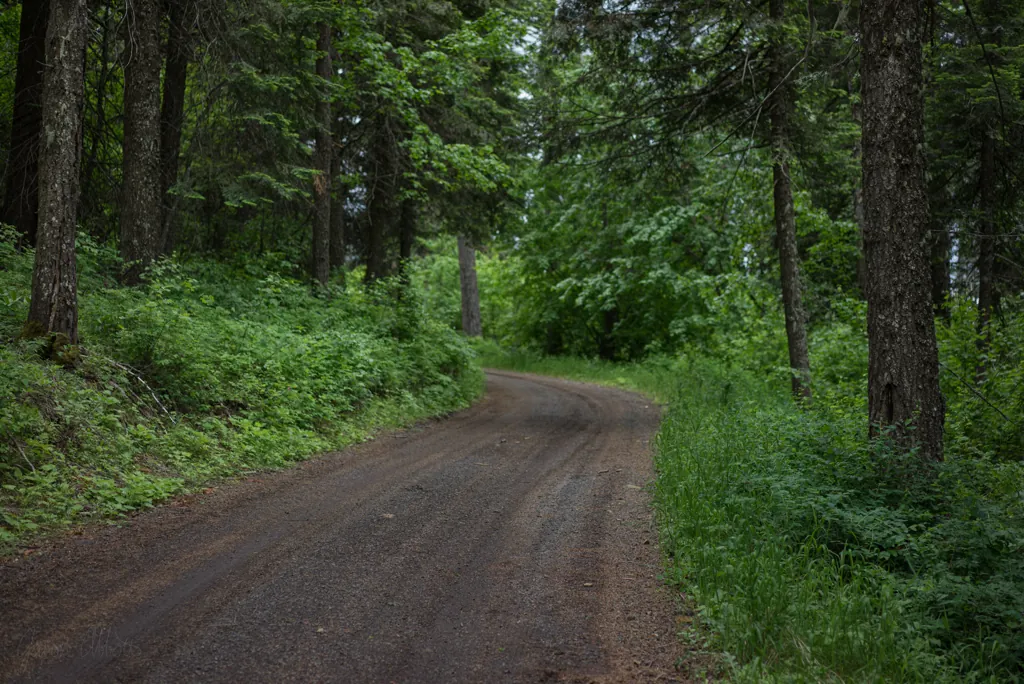Skyline Drive