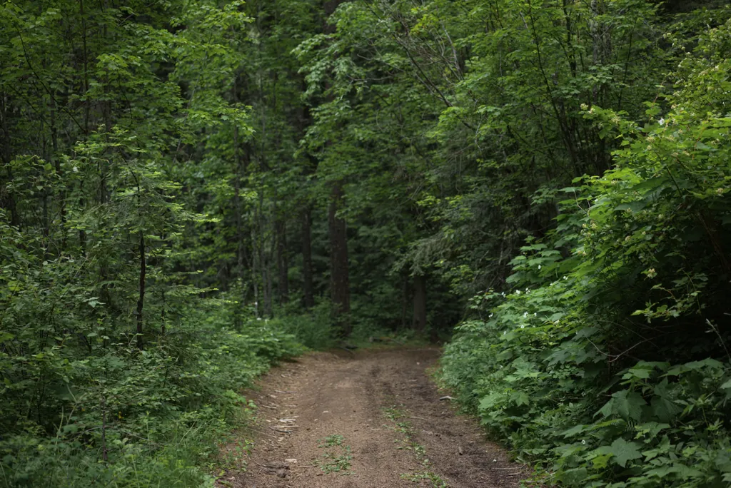 Backcountry