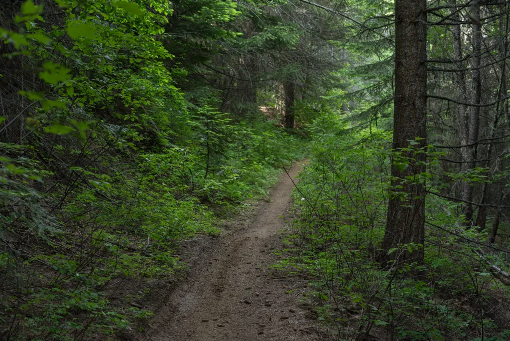 Meadow Creek Loop Ski Trail