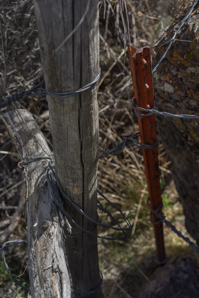 Wire gate