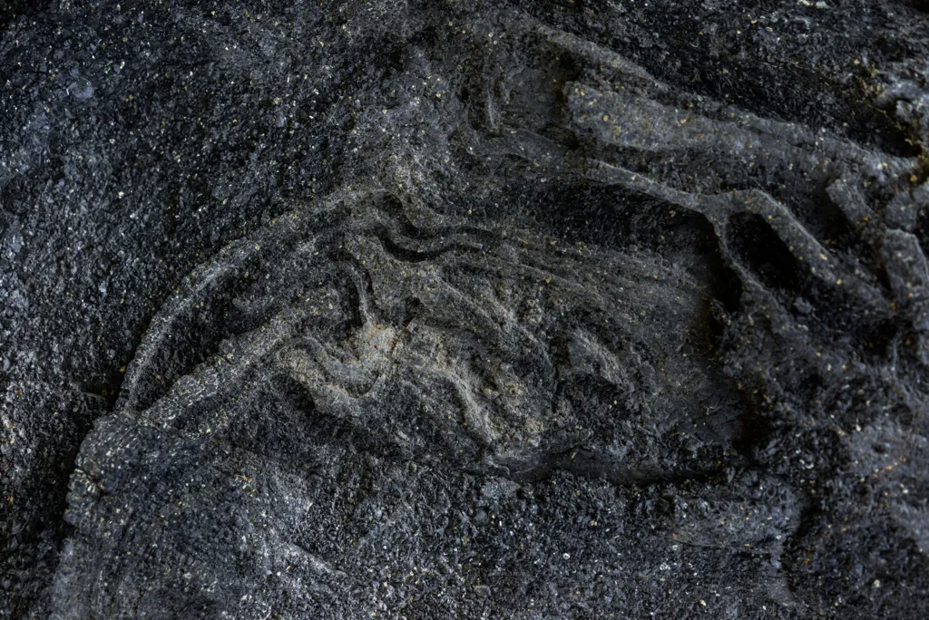 Prehistoric alphabet