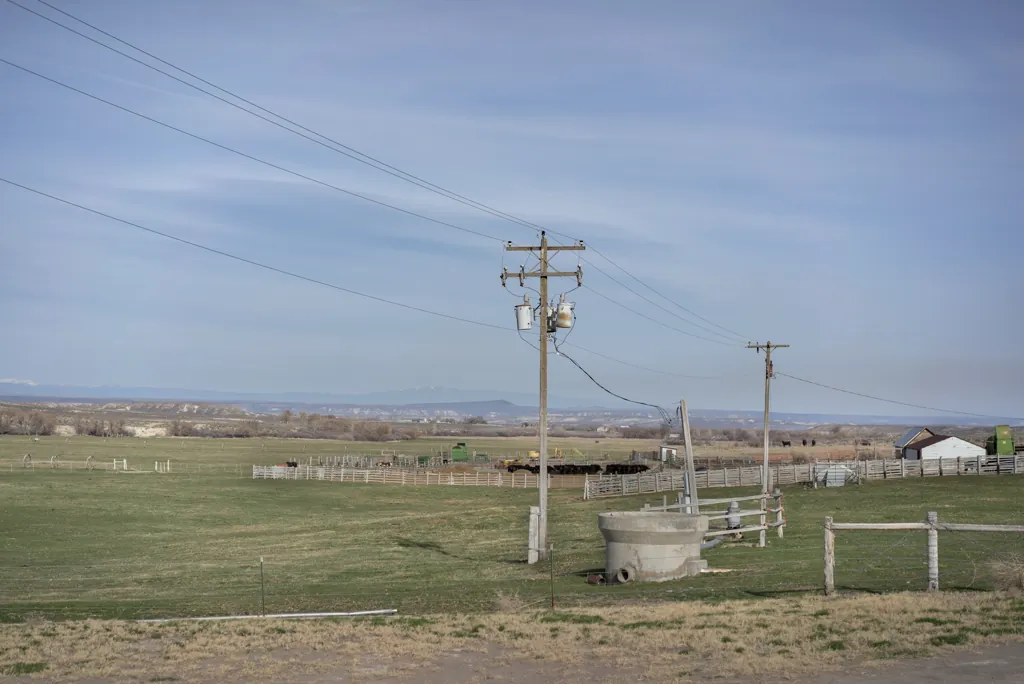 Cowland
