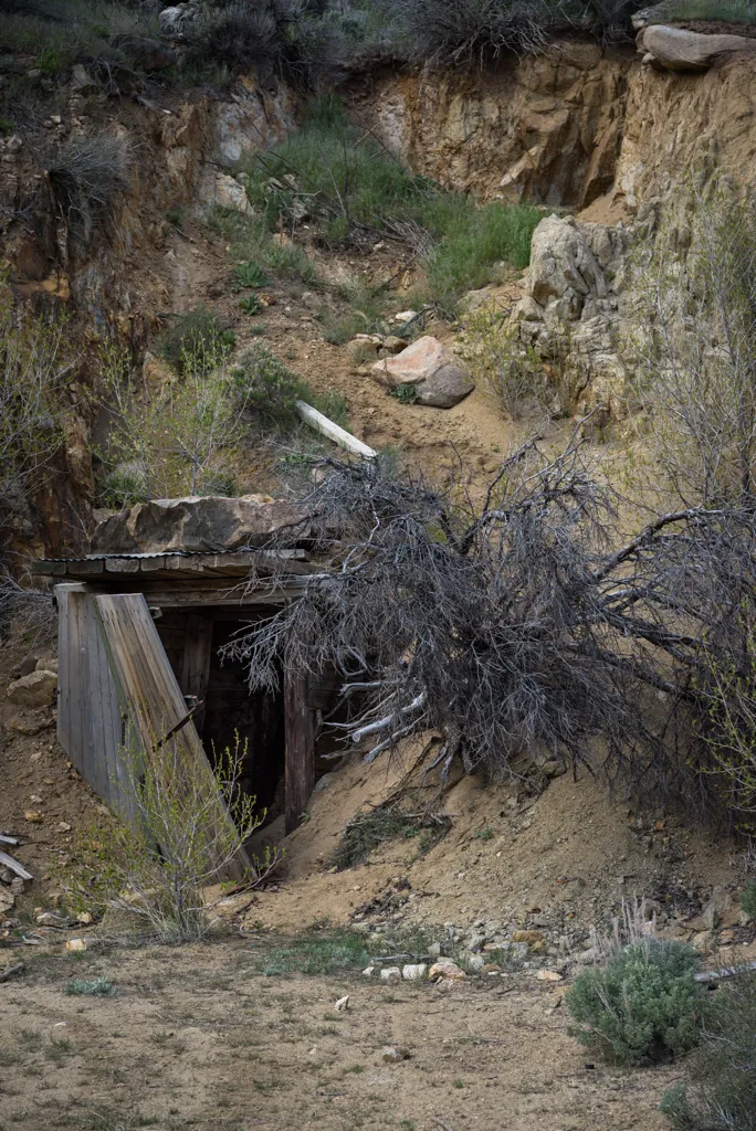 Bergh Mine