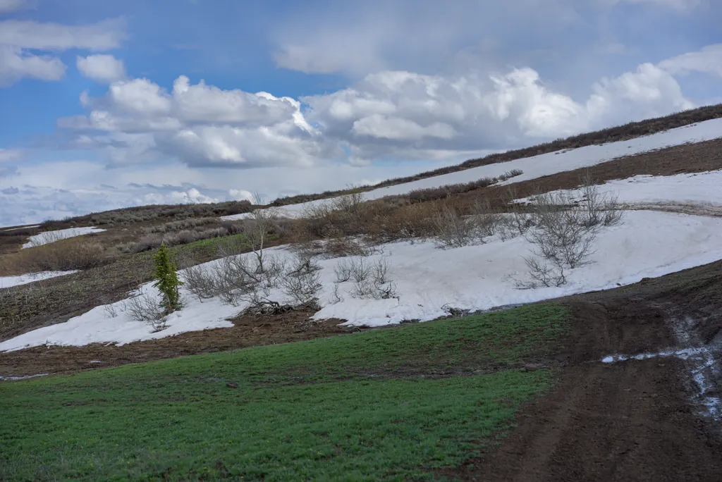 Snow bank