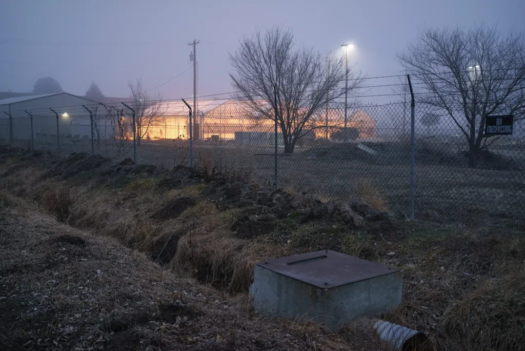 Security fence