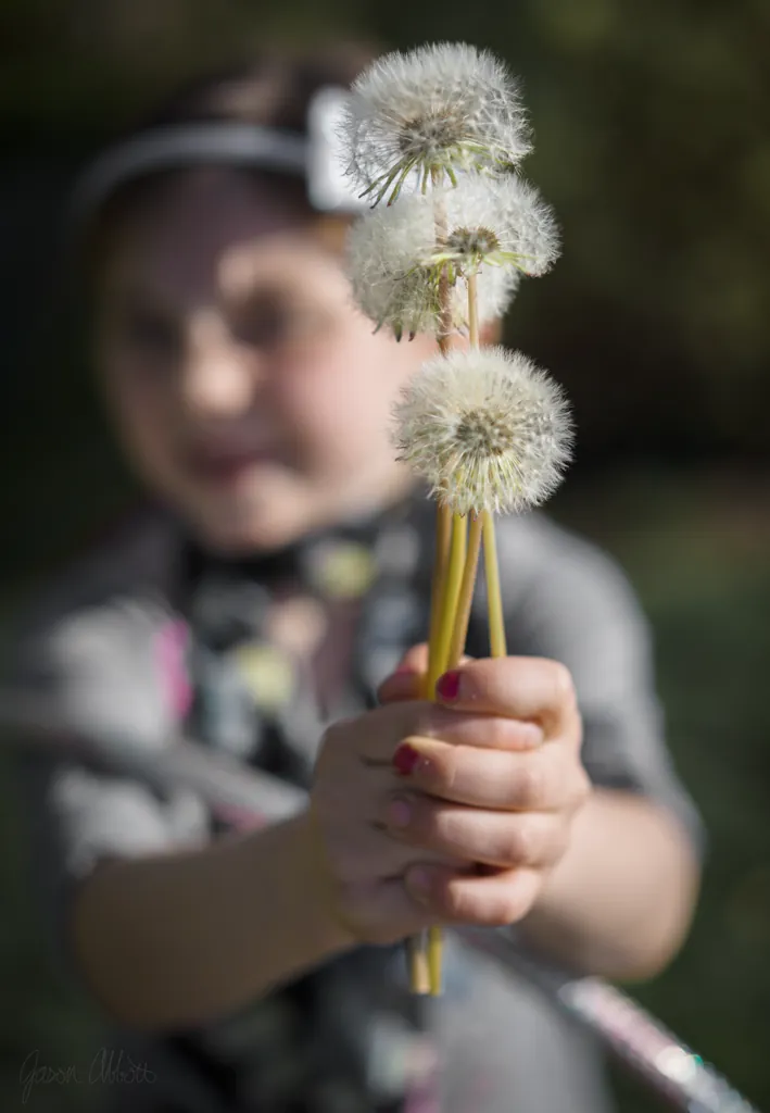 Two wishes each