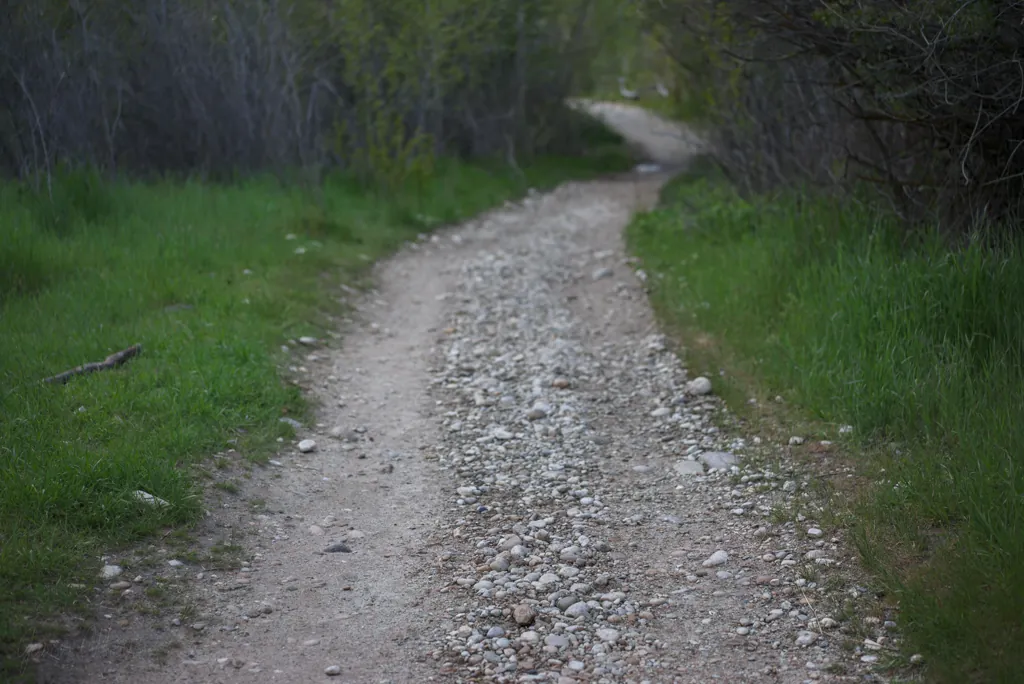 Evening walk