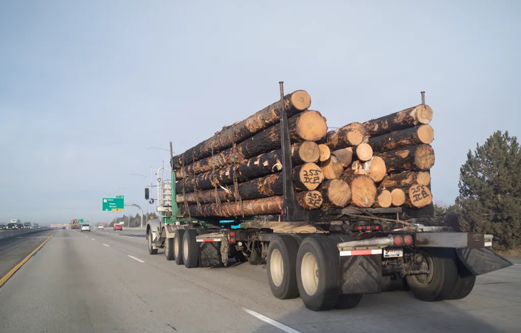 Salvage logging
