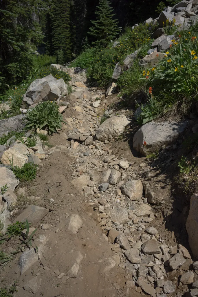 Switchback