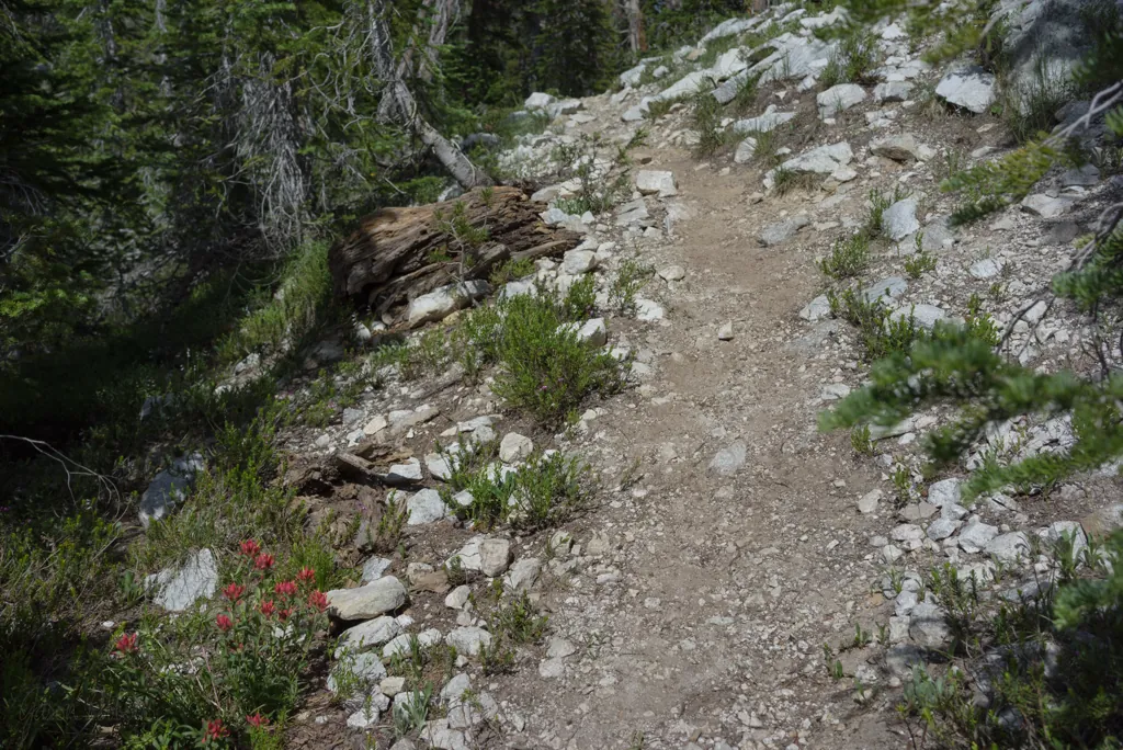 HIking from camp
