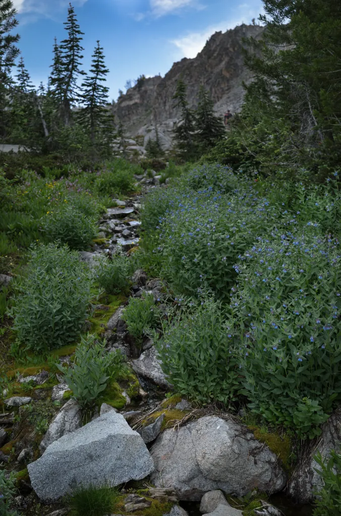 Up creek