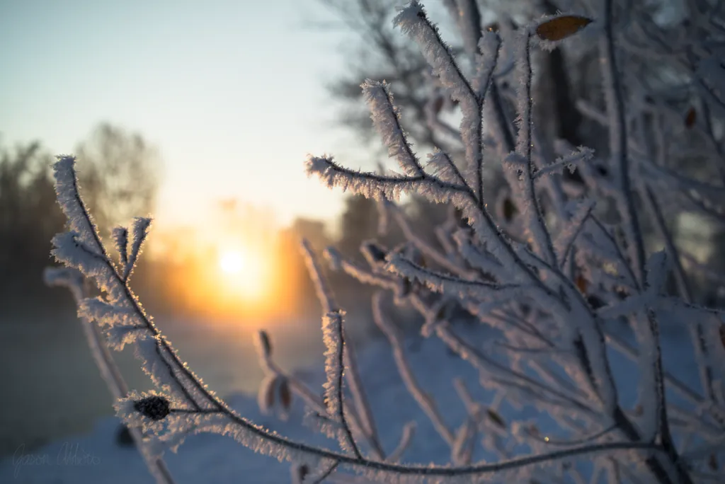 Hoar frost
