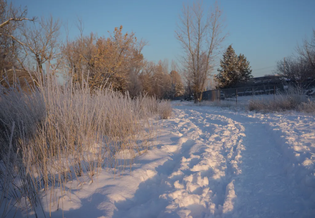 At least there’s a path again