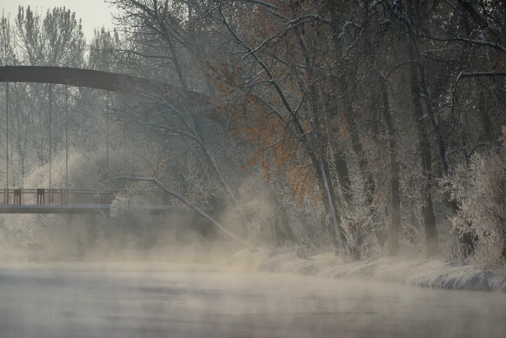 Fog and a bridge
