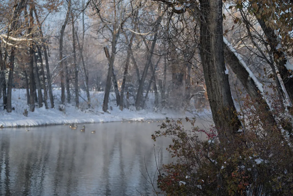 Winter-Autumn