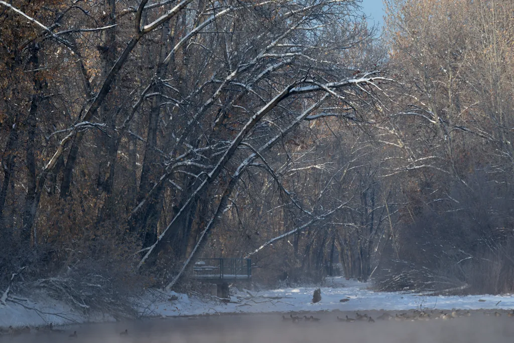 Float the river