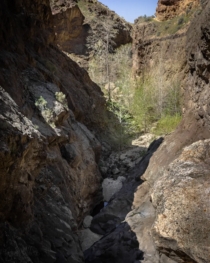Chute