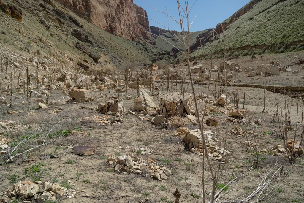Valley of dry bones