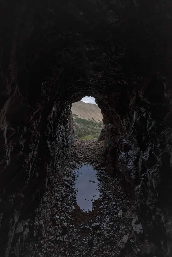 Mind the gap