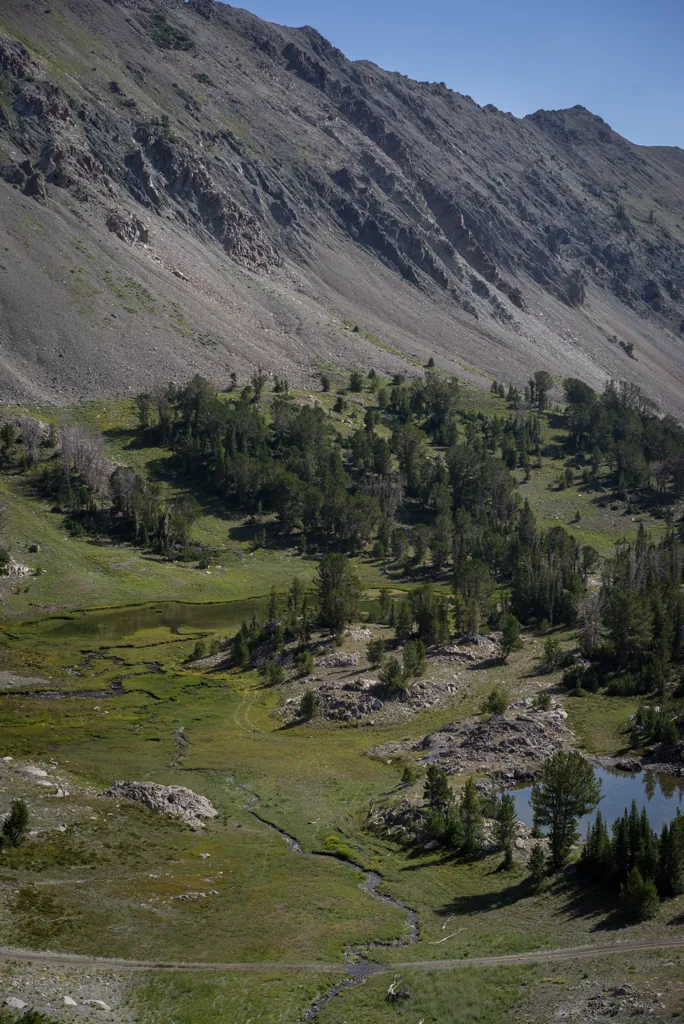 Spring-fed ponds