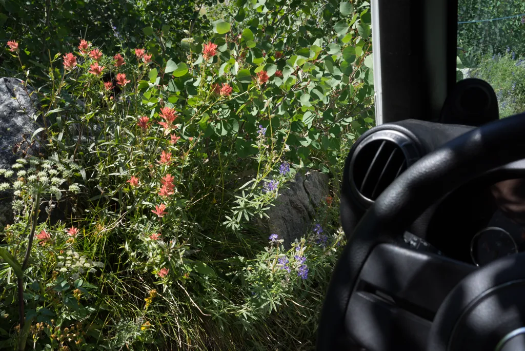 Drive-up bouquet