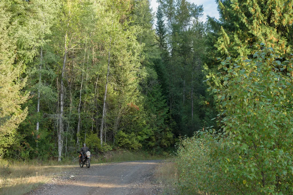 Huckleberry Mountain Road
