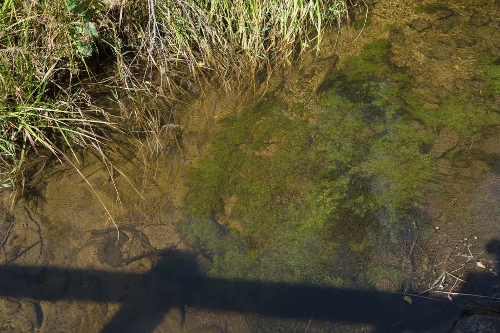Palouse River