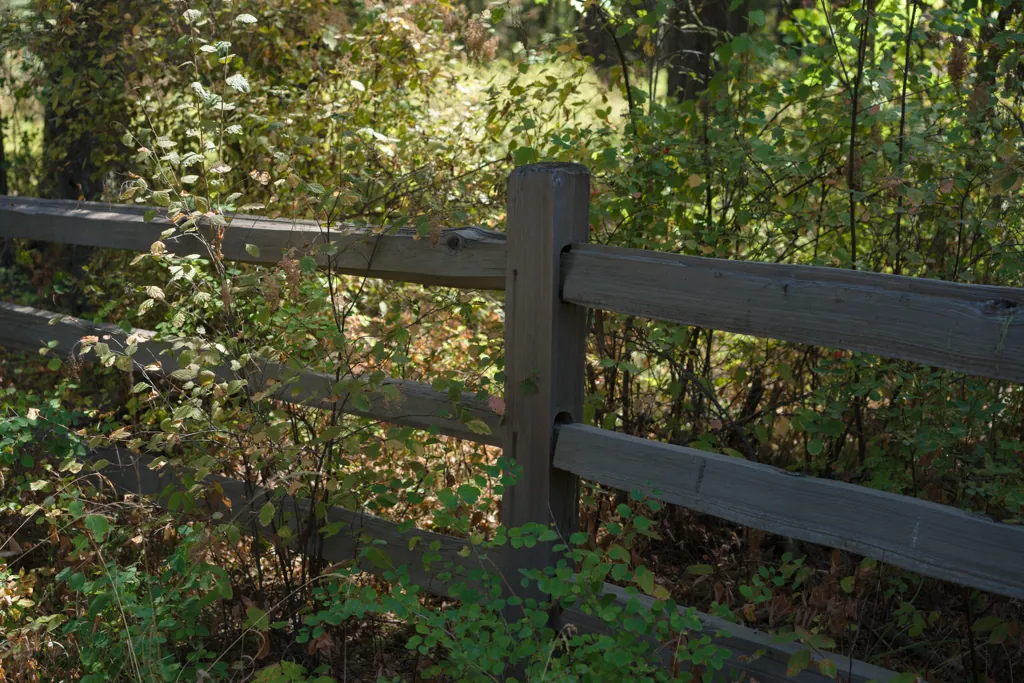 Laird Park entrance