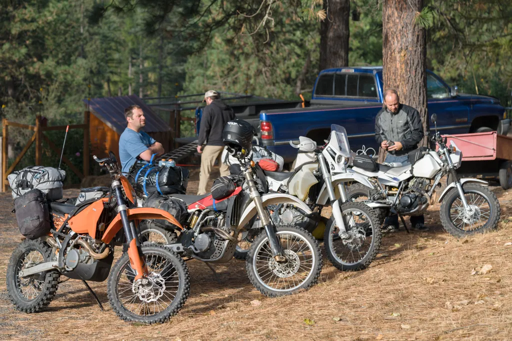 The line-up