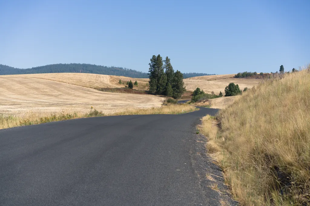 Orchard Loop
