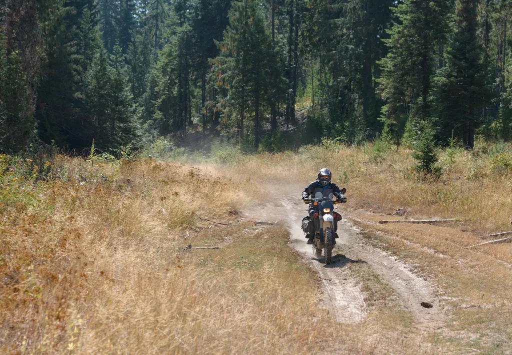 White Pine Flats