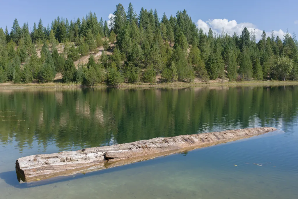 Secret pond