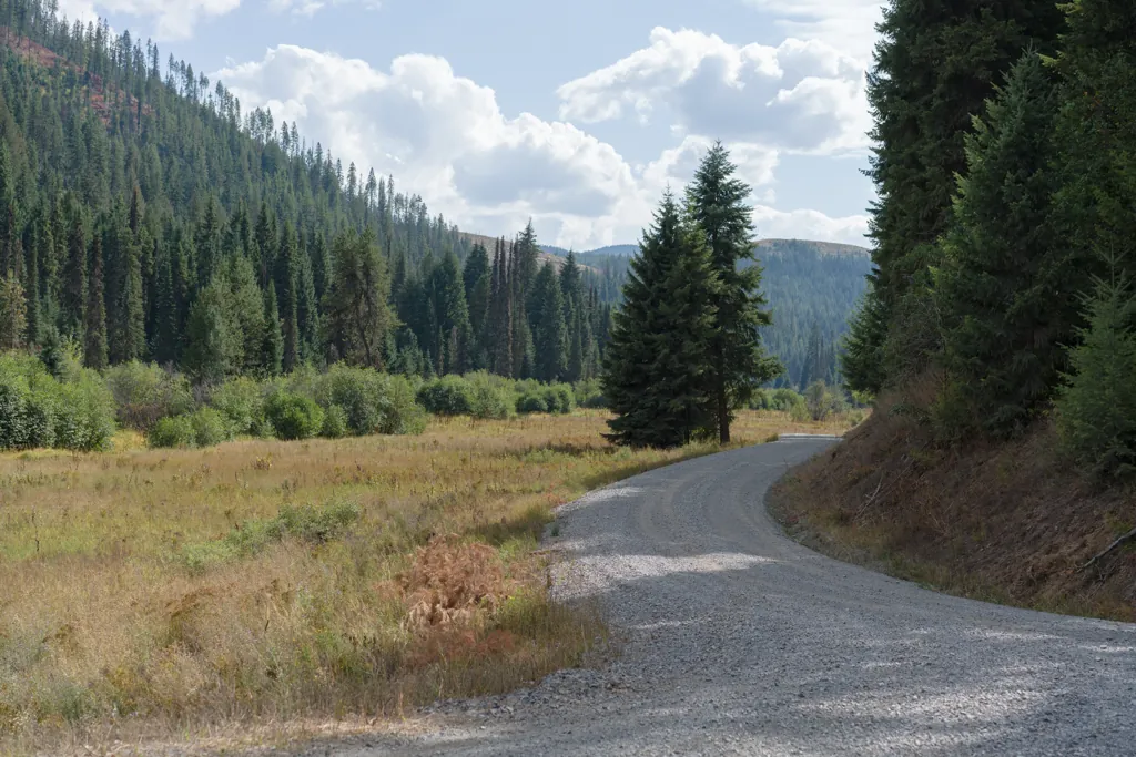 Mica Creek Road