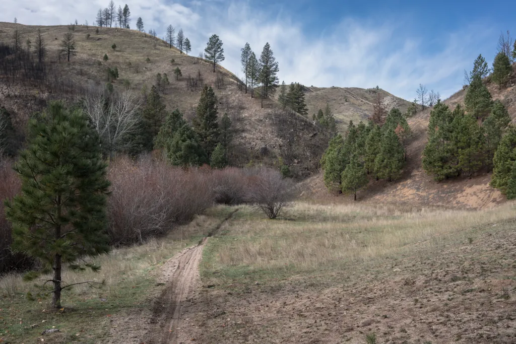 Trail 400