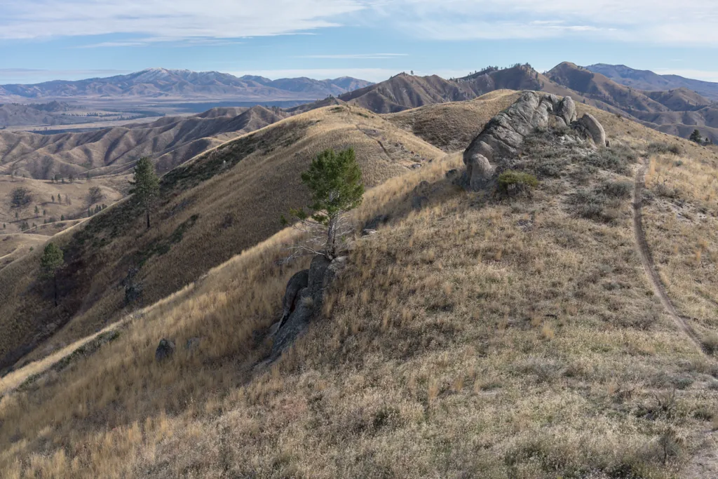 Ridgeline Trail 424