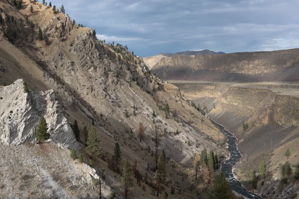South Fork meander