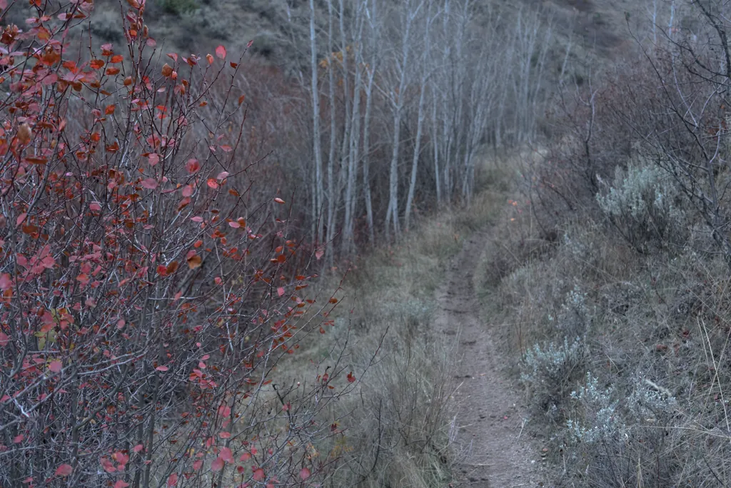 Bender Creek